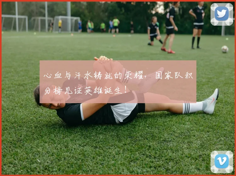 心血与汗水铸就的荣耀，国家队积分榜见证英雄诞生！